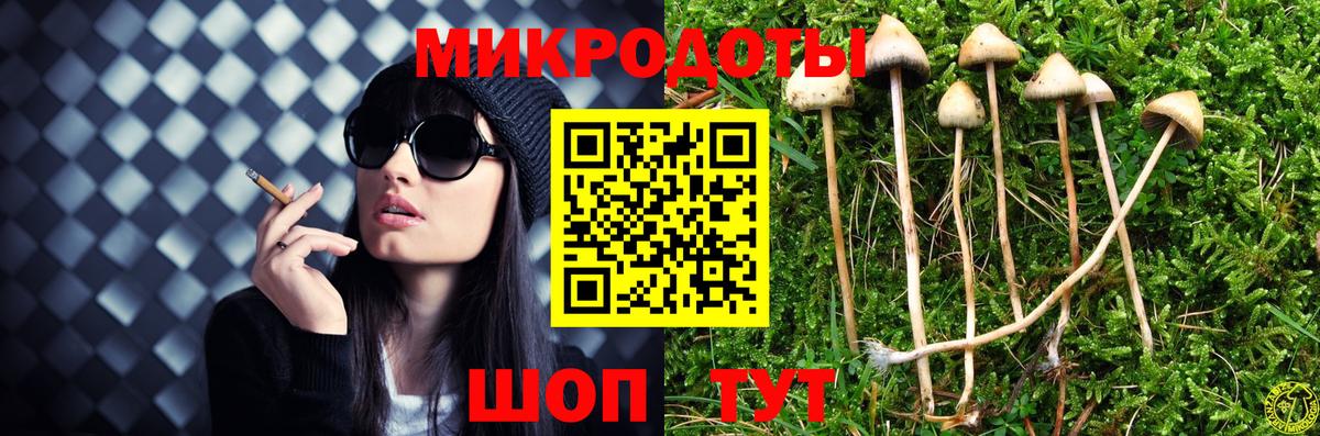 Псилоцибиновые грибы Cubensis Волоколамск