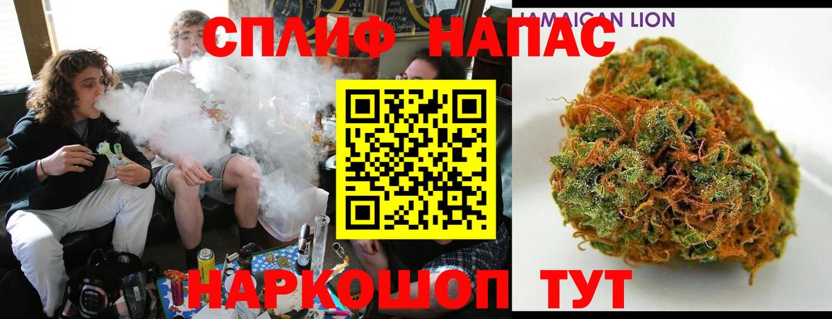 Конопля сатива Волоколамск